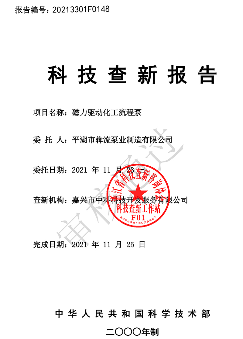 BMA磁力驅(qū)動化工流程泵查新報(bào)告-1